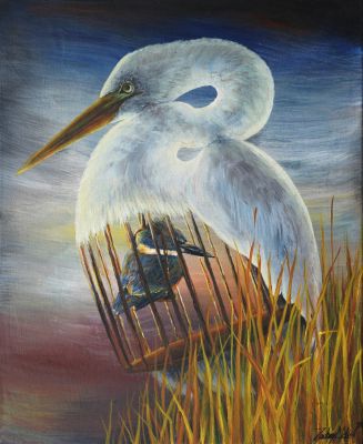 Zachary Melisi fishingbirds_da1